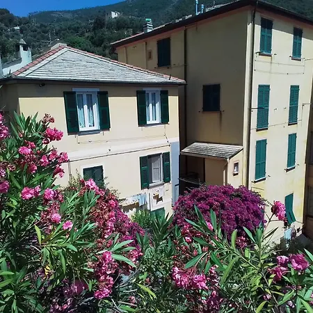 Casa Stella Di Mare דירה בונאסולה